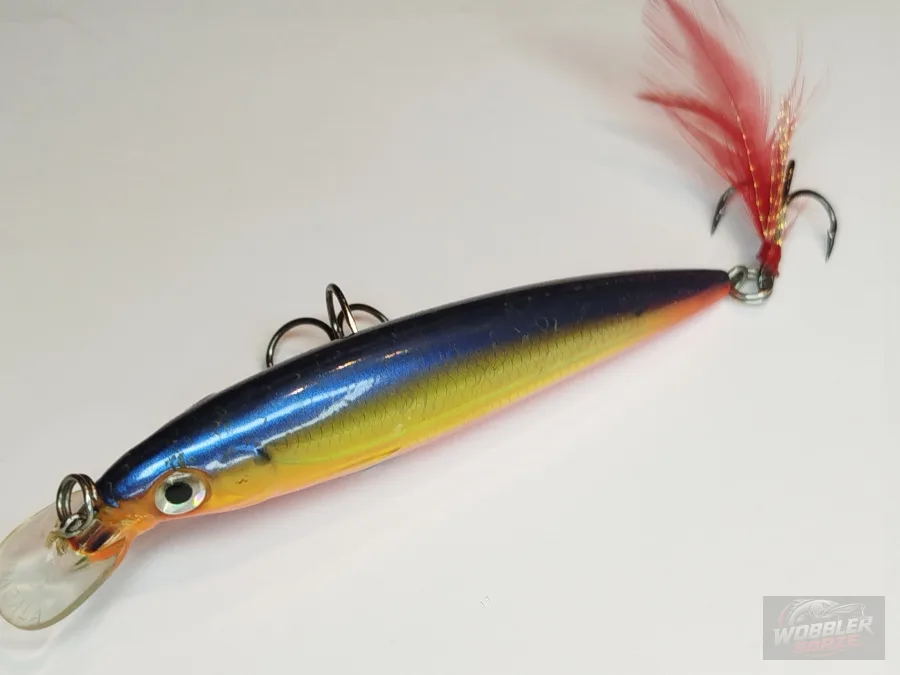 RAPALA X-Rap Xr-10 HS